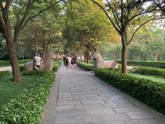 -紫金山山顶公园