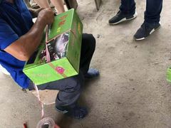 -马陆小张葡萄园农家乐