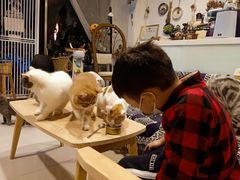 -平行世界·猫咖(首经贸店)
