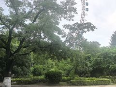 -哈尔滨文化公园
