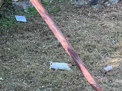 -香山公园-东宫门售票处