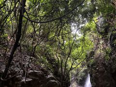 -阳台山森林公园