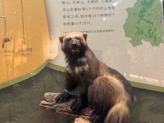 -深圳博物馆历史民俗馆
