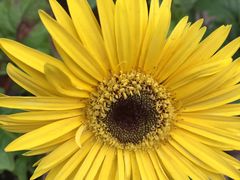 -森居forest休闲咖啡聚集地