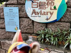 -九龙公园