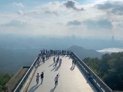 -紫金山山顶公园