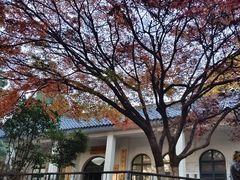 -西安市纺织公园