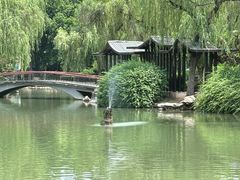 -西苑公园