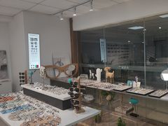 -大视家眼镜(园区星海店)