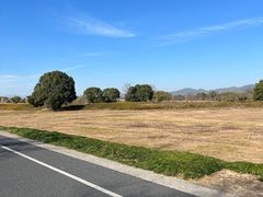 -良渚古城遗址公园