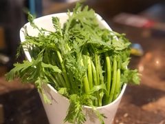 茼蒿-同仁四季椰子鸡(海岸城天利店)