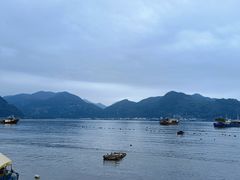 -北岐滩涂