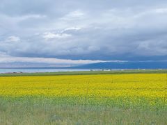 -青海湖国家重点风景名胜区