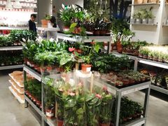 -宜家家居(哈尔滨商场店)