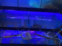 -阿尔法海鲜排档(爱琴海店)