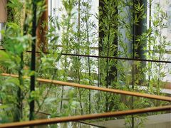 大堂-广州富力君悦大酒店空中花园