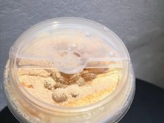 豆豆波波茶-喜茶(上海正大广场店)