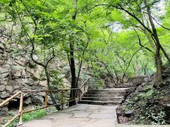 -北京上方山国家森林公园