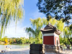 -北京大学
