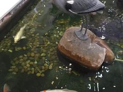 -渔民新村(番禺总店)