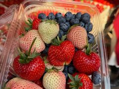 -南坛综合农贸市场