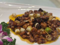 -芙蓉凰花园酒楼