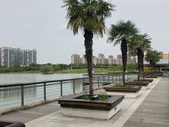 -白塘生态植物园