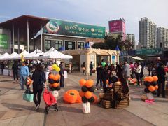 -证大大拇指广场(芳甸路店)