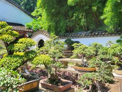 -西湖公园(鼓楼区)