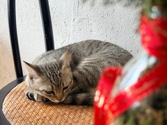 -利腾金力湾商业中心