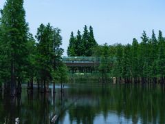 -白鹭湾湿地公园