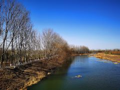 -东郊湿地公园