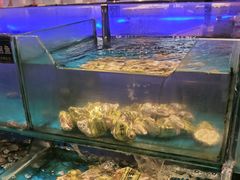 -SEA西雅图海鲜自助餐厅(海乐世界店)