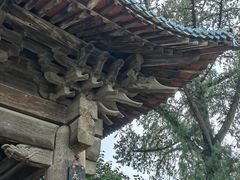 -窦大夫祠