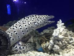 -常州海昌海洋探索馆