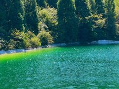 -武陵山森林公园