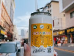 -德禄酸奶(莫家街店)