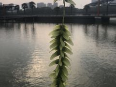 -白塘生态植物园