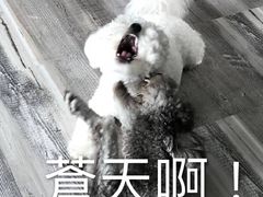 -% Arabica阿拉比卡咖啡(深圳湾万象城店)
