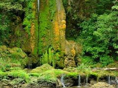 -清真·锦翔炝锅鱼(明德门店)