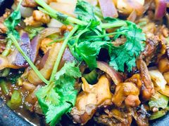 鸡鸡蛙蛙中煲-川香煲(茅台路店)
