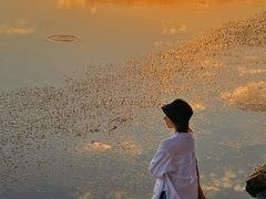 -丁香湖公园