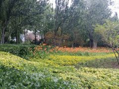 -廊坊文化艺术中心