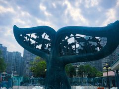 -海合安成都极地海洋公园