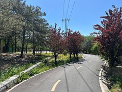 -坝河休闲公园