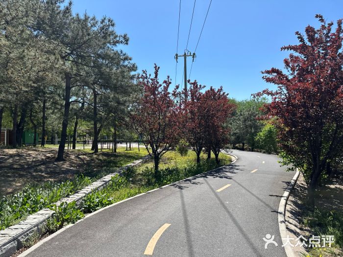 坝河休闲公园图片