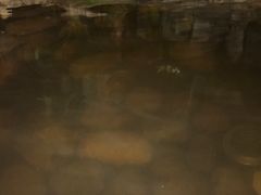 -中家鑫园温泉酒店鑫悦汤泉