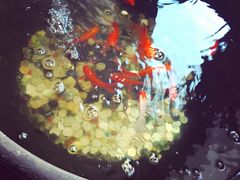 -到家尝北京菜(西坝河店)