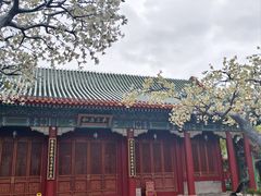 -珠海圆明新园