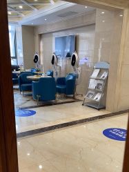 -碧莲盛·不剃发植发